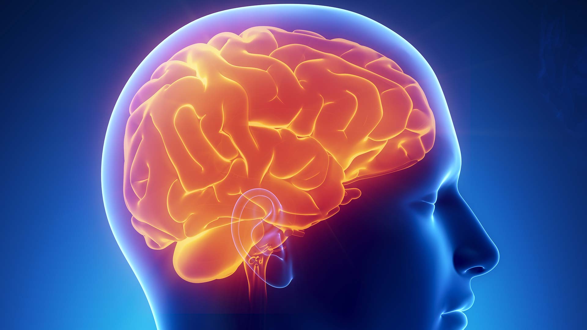 Neuromarketing e marketing sensorial: o inconsciente na decisão de compras